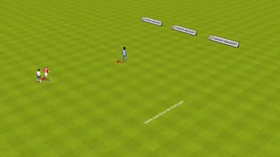MOVE coerver