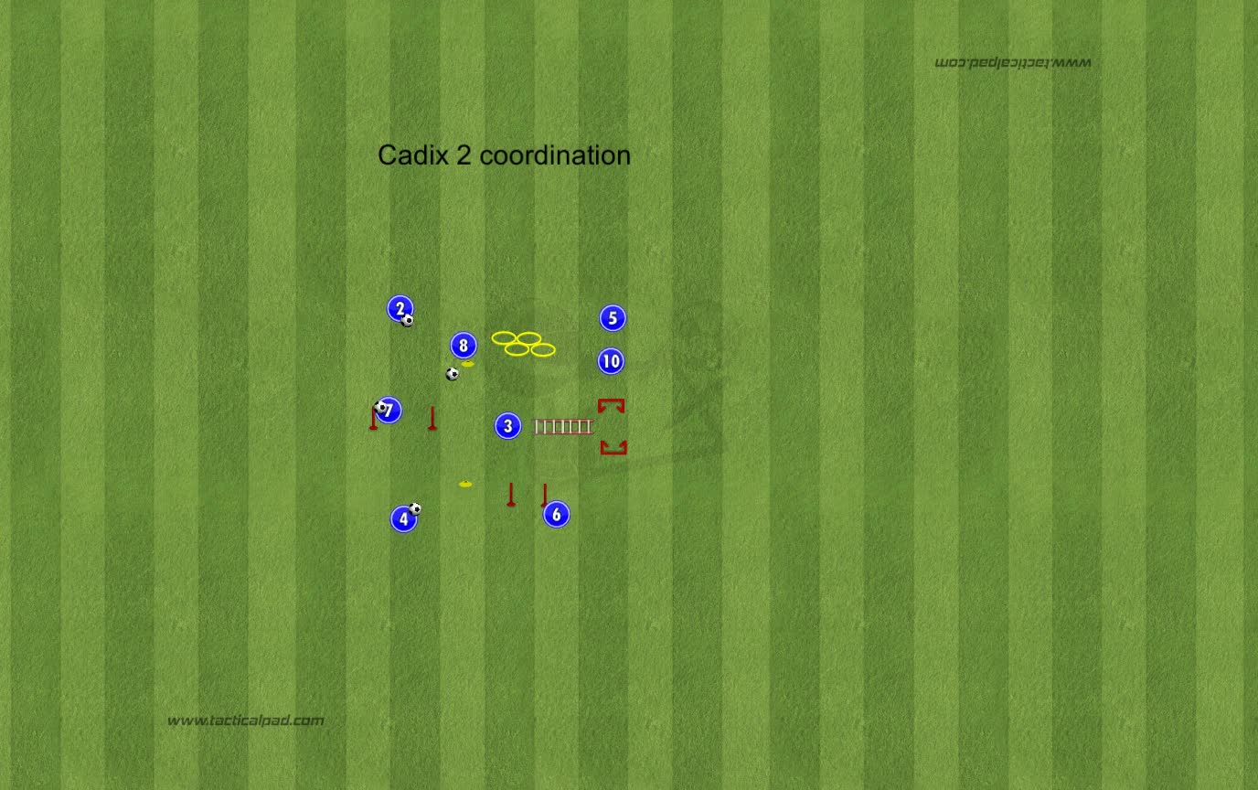 Cadix 2 coordination