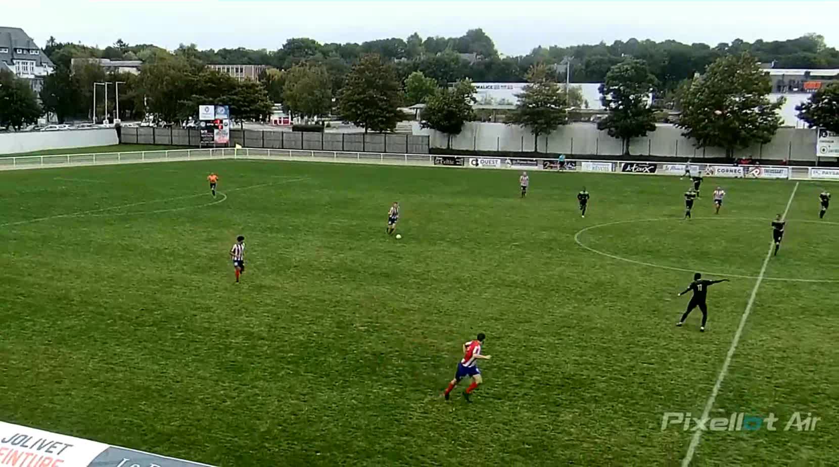 Attaque placee chat avec 8