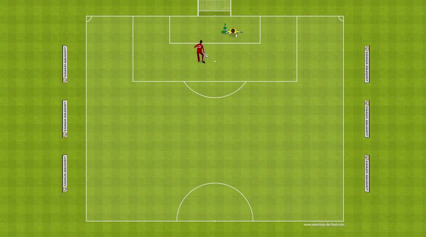 SPÉCIFIQUE GARDIEN 3