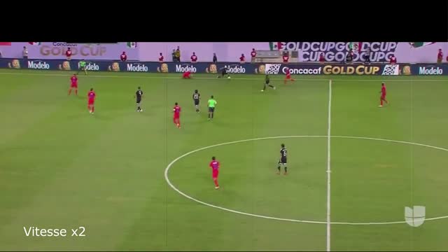 Analyse Video - La Sortie Lavolpienne