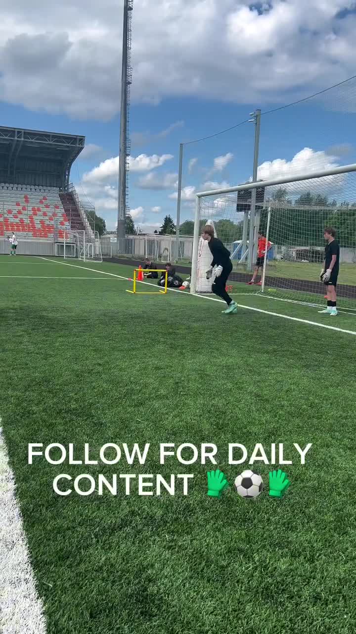 Exercice Prise de balle avec perturbateur